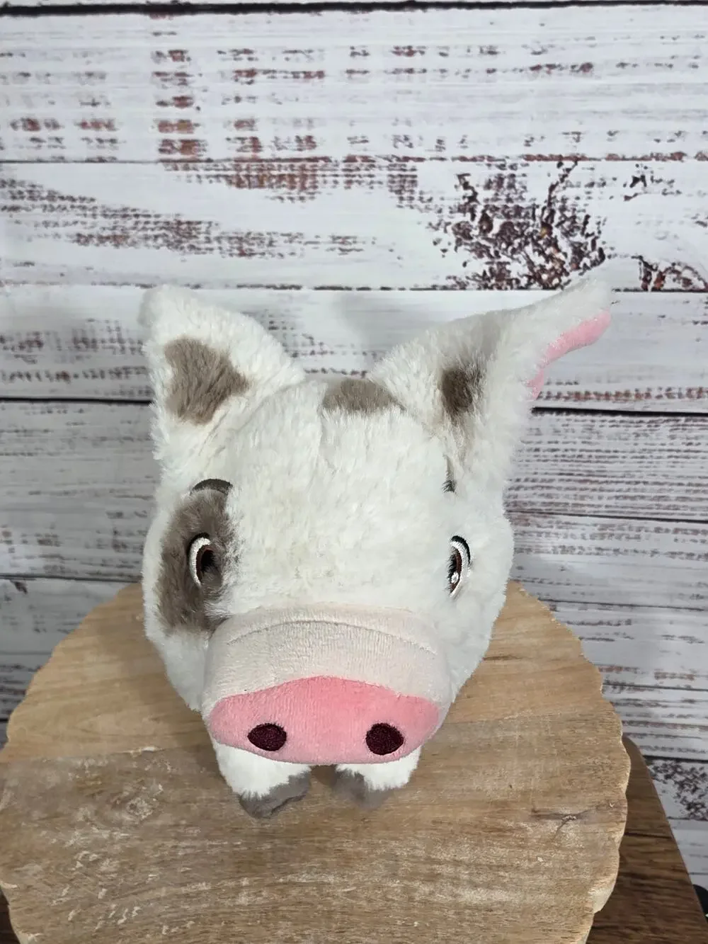 Disney Plush Store Authentic Moana Pua Pig 10in Stuffed Animal
